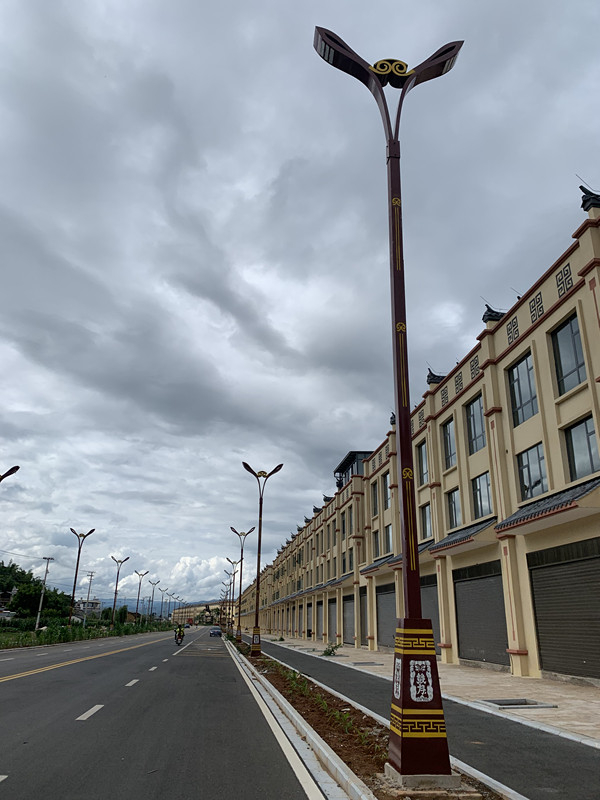 9米雙頭景觀(guān)燈